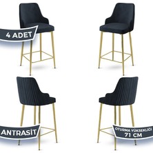 Canisa Concept Enox Serisi 4 Adet Mutfak Bar Sandalyesi Babyface Kumaş Gold Kaplama Metal Ayak