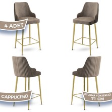 Canisa Concept Enox Serisi 4 Adet Mutfak Bar Sandalyesi Babyface Kumaş Gold Kaplama Metal Ayak