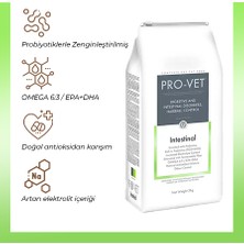 Pro-Vet® Intestinal Veteriner Diyet Sindirim Sistemi Destekleyici Gastrointestinal Kedi Maması 3 kg