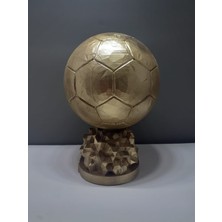 3D San Fıfa Ballon D'or Yılın Futbolcusu Ödülü