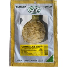 Burgen Tohum Kök Kereviz (Çanakkale)