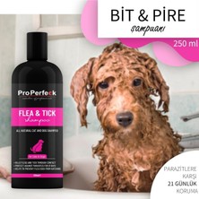 Pro Perfeck Kedi Köpek Bit Pire Kene Şampuanı 250 ml