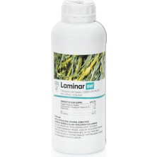 De Sangosse Lamınar Sw 1lt