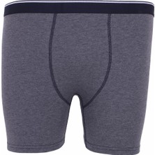 Starbattal Erkek Büyük Beden Likralı Uzun Paça Boxer 11906-242