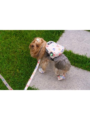 Pet Sırt Çantası, Kedi Köpek Için Tasma Gerektirmeyen Çanta, Gezdirme Kayışı ile Birlikte, Gezdirme Kordonlu Çanta