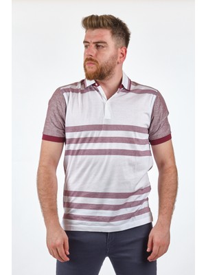 Gallus Polo Yaka Multi Erkek T-Shirt 160114303