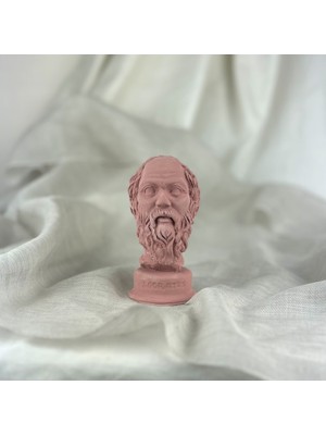 Oasis Decoration Antik Pembe Socrates Heykel Büst Biblo 13 cm