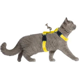 Kedi Gezdirme Tasması Sevk Kayışlı Sarı Dubai