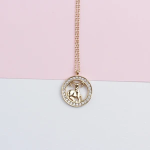 Gümüş Koç Burcu Kolye