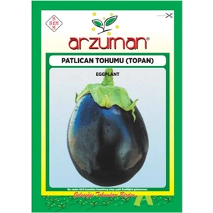 Sebze Topan Patlıcan Tohumu