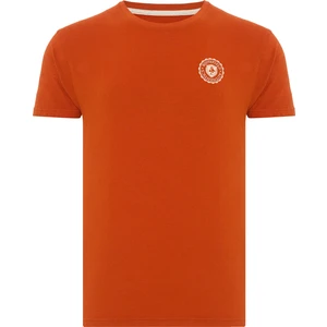 Routefield Timothy  Turuncu Erkek T-shirt RFTIMOTHY22-65-
