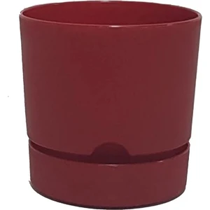 Krm Home 5'li Set Begonya Saksısı 12 cm Tabaklı Saksı 1 Lt