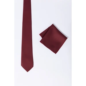 ALTINYILDIZ CLASSICS Erkek Bordo Kravat-Mendil Set
