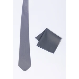 ALTINYILDIZ CLASSICS Erkek Gri Kravat-Mendil Set