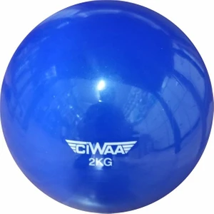 CWA-938 Pilates Ağırlık Topu Pilates Toning Ball Denge ve Ağırlık Topu 2 kg