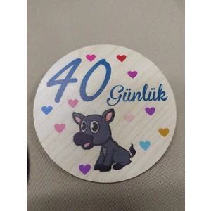 Ceylin Hobi Hediyelik 12 Aylık Plak Seti Ahşap Bebek Fotoğraf Kartları , Ilklerim Seti , Renkli , Anı Kartları