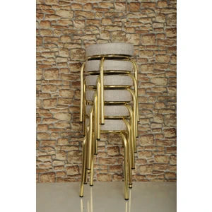 Akk Ticaret 6 Adet Krem Desenli Renkli Kumaş Gold Nikelajlı Demir Tabure Mutfak Taburesi