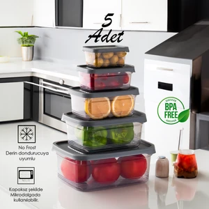 1362 Festiva 5 Li Dikdörtgen No-Frost Derin Dondurucu Mikrodalga Yiyecek Saklama Kabı Seti