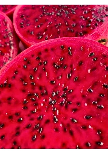 Ejder Meyvesi, 1 kg Karışık, Kırmızı-Beyaz Tropikal Meyve, Pitaya fırsatları