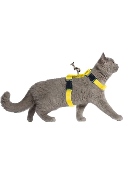 Kedi Gezdirme Tasması Sevk Kayışlı Sarı Dubai