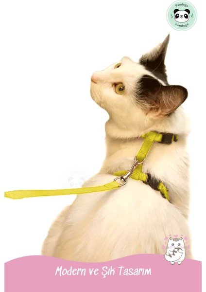 Kedi Gezdirme Tasması Sevk Kayışlı Sarı Dubai modelleri