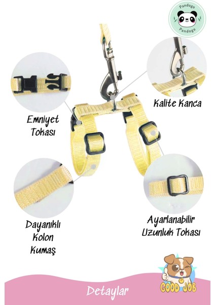 Kedi Gezdirme Tasması Sevk Kayışlı Sarı Dubai indirimleri