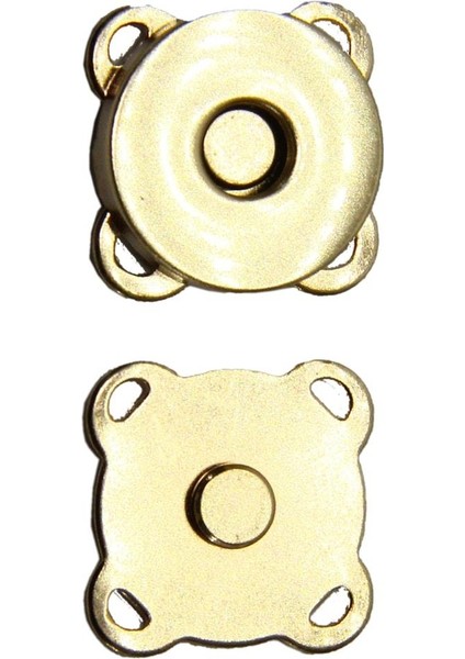 Aladepo Mıknatıslı Çıtçıt Dikilebilir 2cm (1 Adet)