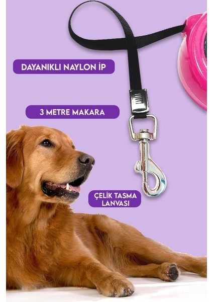 Makaralı Otomatik Köpek Tasması 3 Metre Pembe