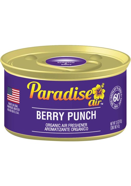 Air Berry Punch Oda ve Araba Kokusu 42GR