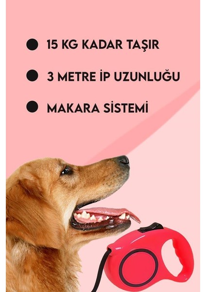 Makaralı Otomatik Köpek Tasması 3 Metre Kırmızı