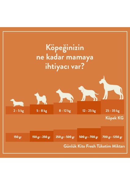 Yetişkin Köpek Maması 2,5 kg + Kuzu Etli Kito Fresh x 6