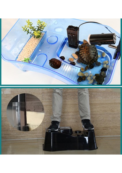 Sürüngen Besleme Kutusu Yarı Transparent Kaplumbağa Besleme Tankı Pet Evi Mavi (Yurt Dışından) fiyatları