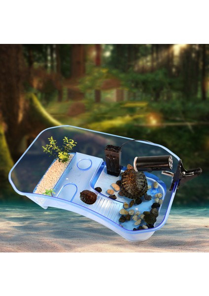 Sürüngen Besleme Kutusu Yarı Transparent Kaplumbağa Besleme Tankı Pet Evi Mavi (Yurt Dışından) indirimleri