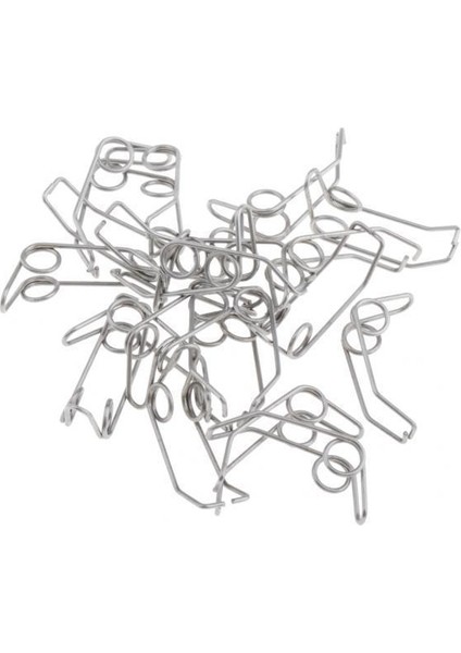 2 x 20 Paket Trompet Su Anahtarı Su Anahtarı Tükürük Valfi Pirinç Alet Için Yay 2 Adet (Yurt Dışından)