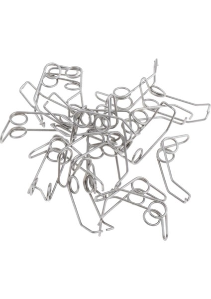 2 x 20 Paket Trompet Su Anahtarı Su Anahtarı Tükürük Valfi Pirinç Alet Için Yay 2 Adet (Yurt Dışından) fiyatları