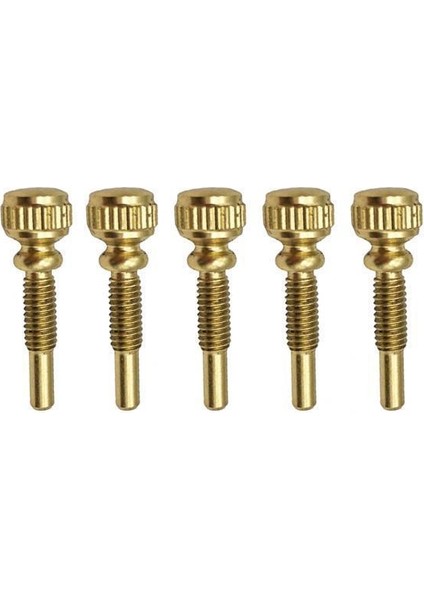 2X5X B Düz Trompet Konumlandırma Vidaları Trompet Onarımı Bakım Aracı Parçalar 2 Pcs (Yurt Dışından)