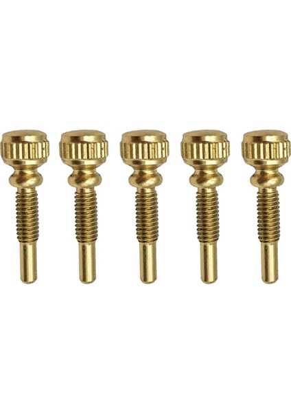 2X5X B Düz Trompet Konumlandırma Vidaları Trompet Onarımı Bakım Aracı Parçalar 2 Pcs (Yurt Dışından) fiyatları