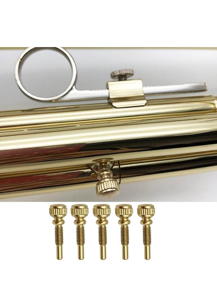 2X5X B Düz Trompet Konumlandırma Vidaları Trompet Onarımı Bakım Aracı Parçalar 2 Pcs (Yurt Dışından) modelleri