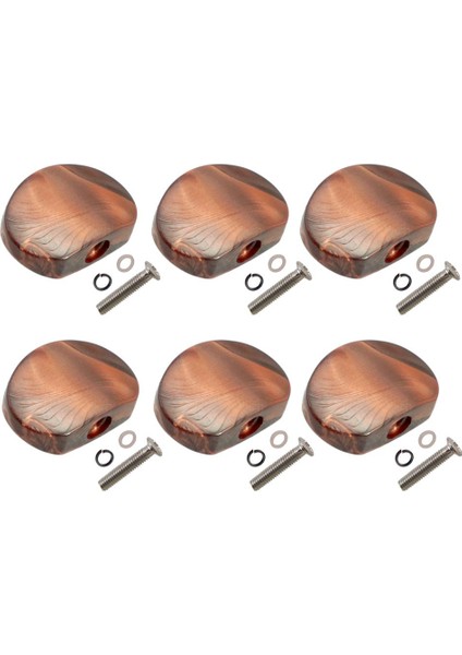 Gitar Ayarlama Anahtar Kafa 5 Pcs (Yurt Dışından)