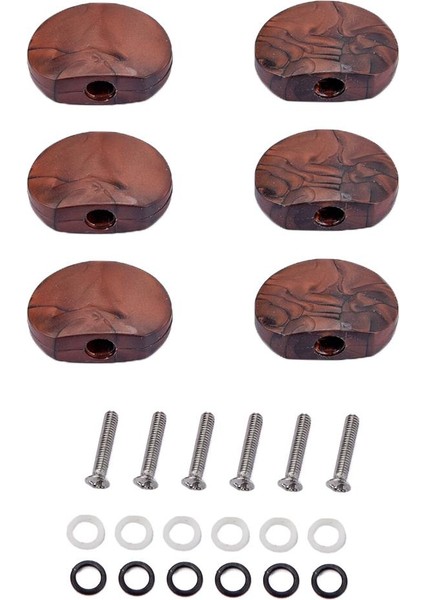 Müzik Aleti Için 6set Spring Washer Conta Gitar Aksesuar (Yurt Dışından)