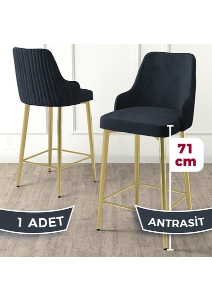 Concept Enox Serisi 1 Adet Mutfak Bar Sandalyesi Babyface Kumaş Gold Kaplama Metal Ayak