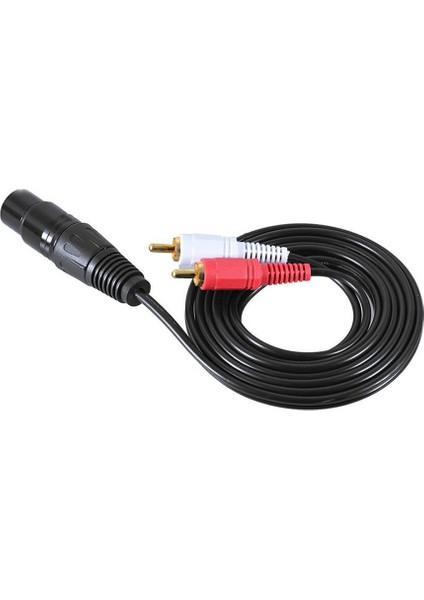 Ses Ayırıcı Yama Y Kablo Kablosu 1 Xlr Dişi - 2 Rca Erkek Fiş (Yurt Dışından)