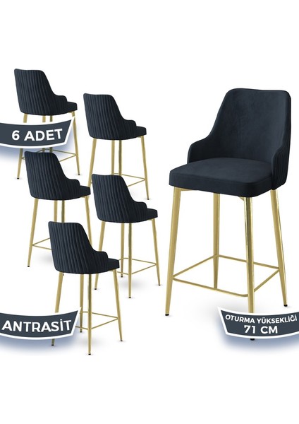 Concept Enox Serisi 6 Adet Mutfak Bar Sandalyesi Babyface Kumaş Gold Kaplama Metal Ayak