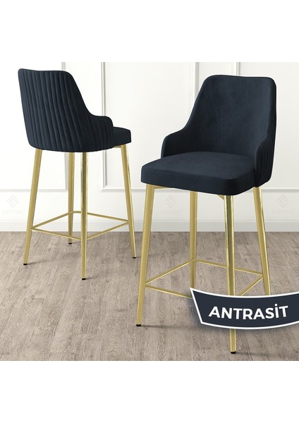 Concept Enox Serisi 6 Adet Mutfak Bar Sandalyesi Babyface Kumaş Gold Kaplama Metal Ayak
