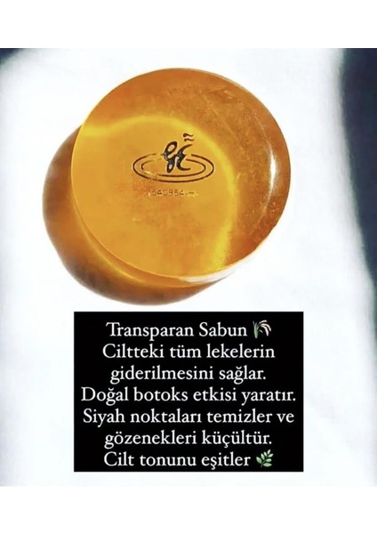 Transparan Sabun