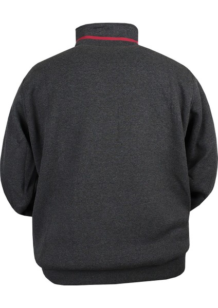 Büyük Beden Erkek Sweat Dekons Antrasit 3 Iplik modelleri