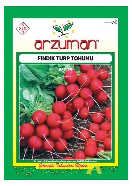 Fındık Turp Sebze Tohumu