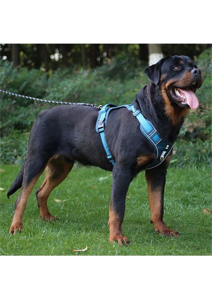 Evcil Hayvan Göğüs Tasması (Yurt Dışından) modelleri