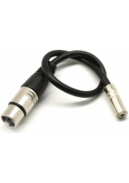 3.5 mm Stereo Dişi To Xlr Dişi Çevirici Kablo 50 cm