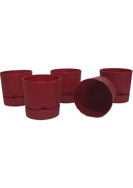 5'li Set Begonya Saksısı 12 cm Tabaklı Saksı 1 Lt